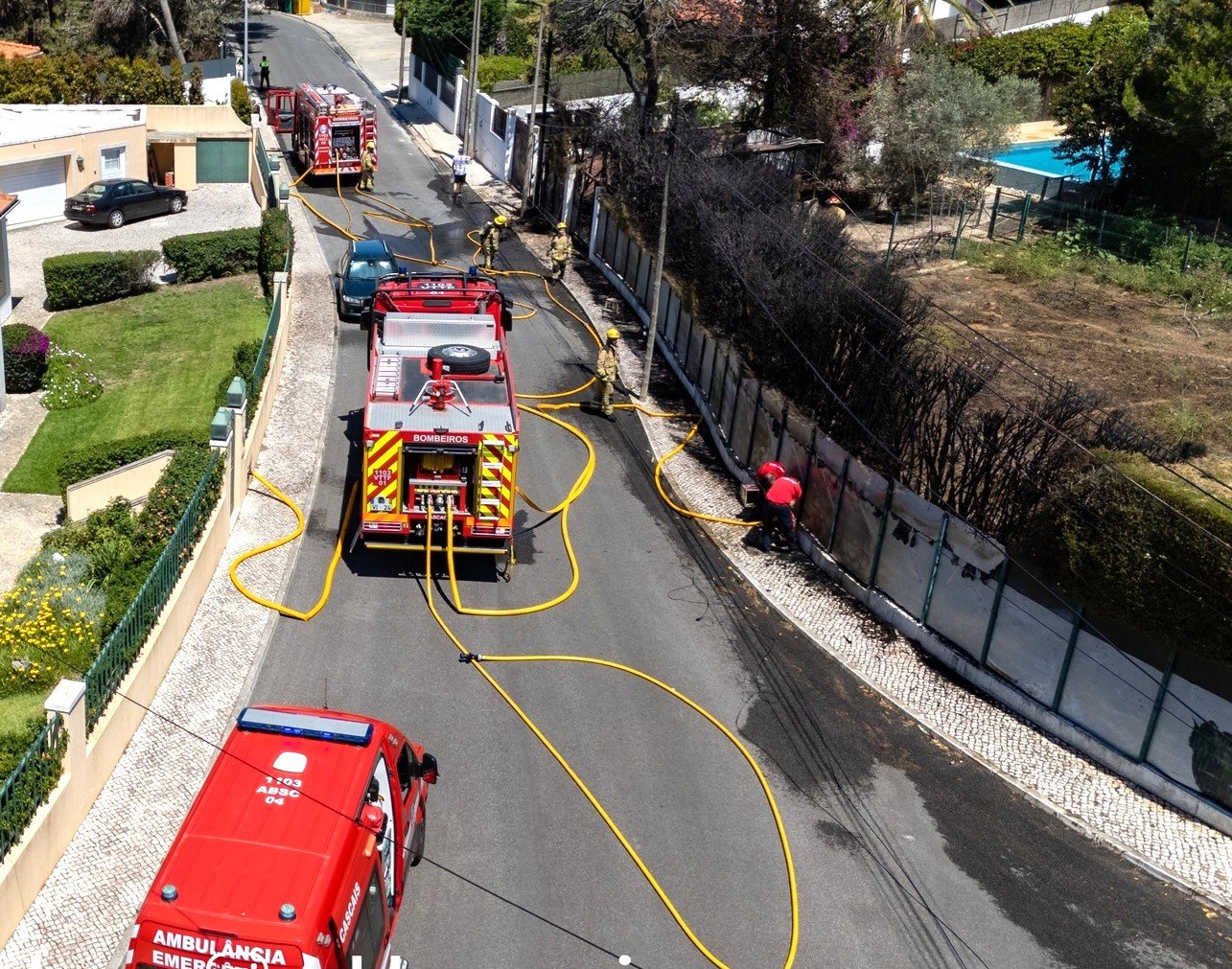 FERIDO em incêndio que destruiu casa de arrumos e alastrou a mato em quinta em Birre