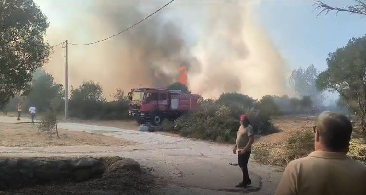 FOGO em Manique terá devastado entre 3 e 5 hectares de mato C/ VÍDEO