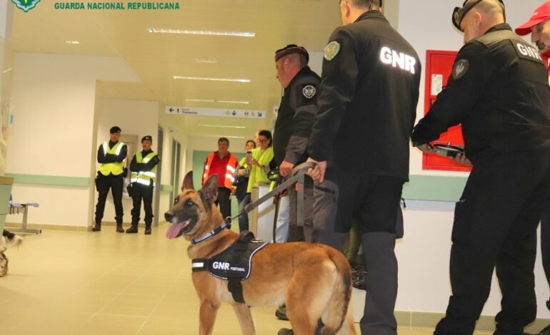 INCIDENTE tático-policial testado no Hospital de Cascais