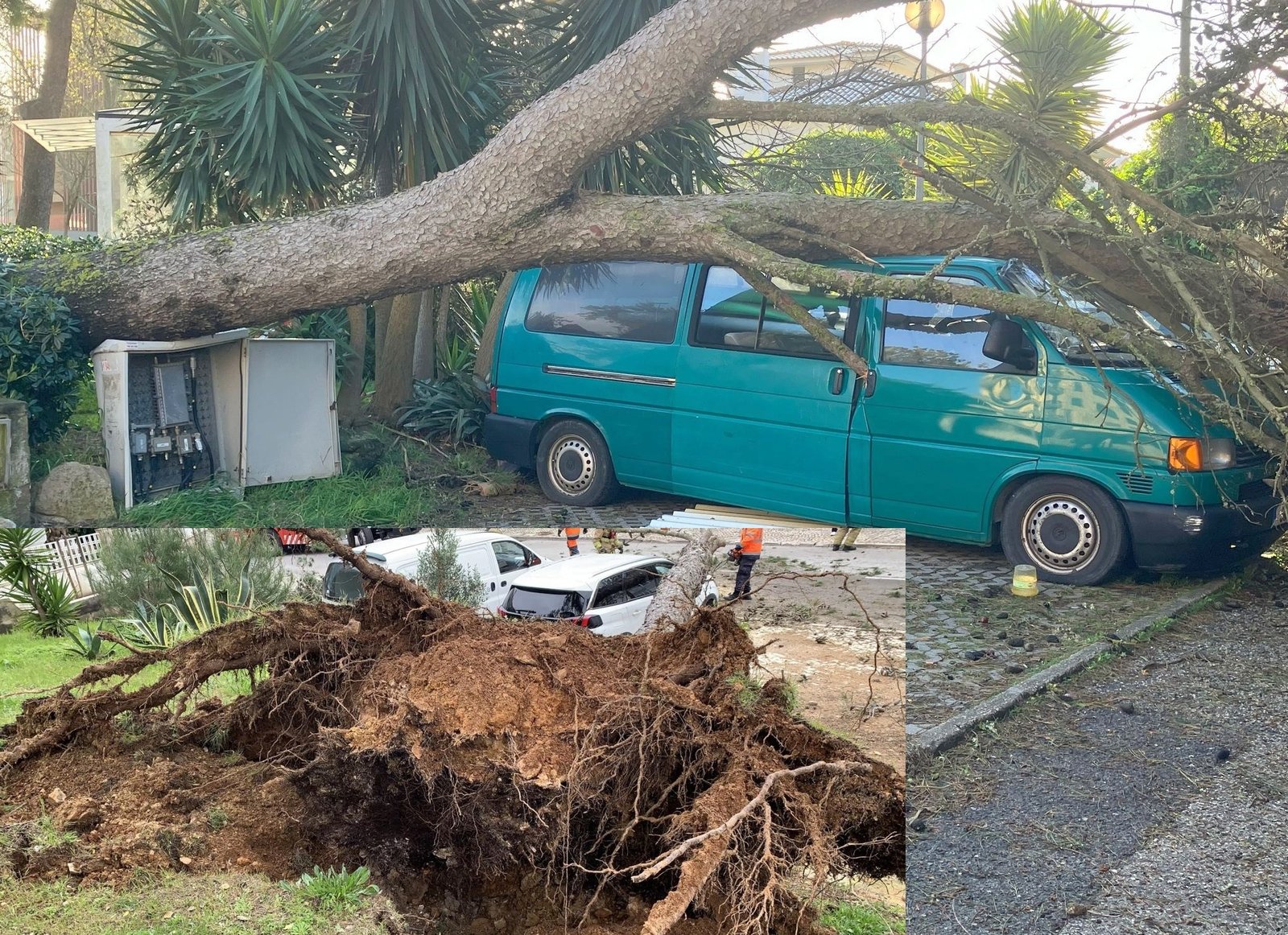 MARTINHO causou 200 ocorrências em Cascais e deixou rasto de destruição