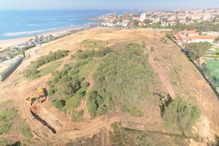 DEFENSORES da Quinta dos Ingleses exigem fim do corte de árvores