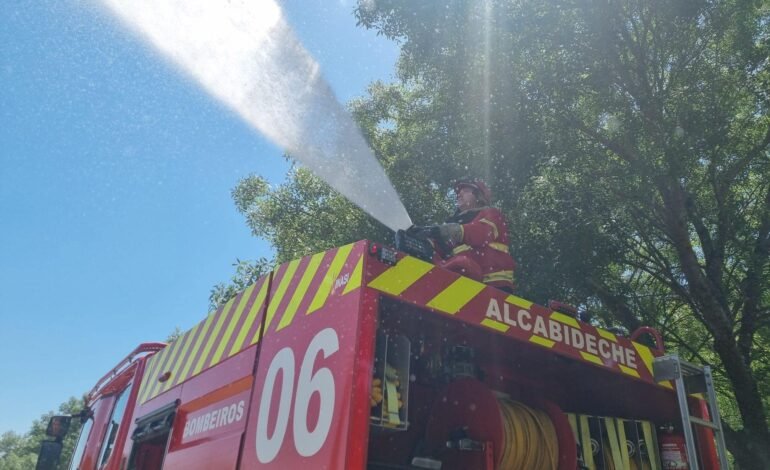 BOMBEIROS salvam 20 colmeias de fogo em mato em Adroana