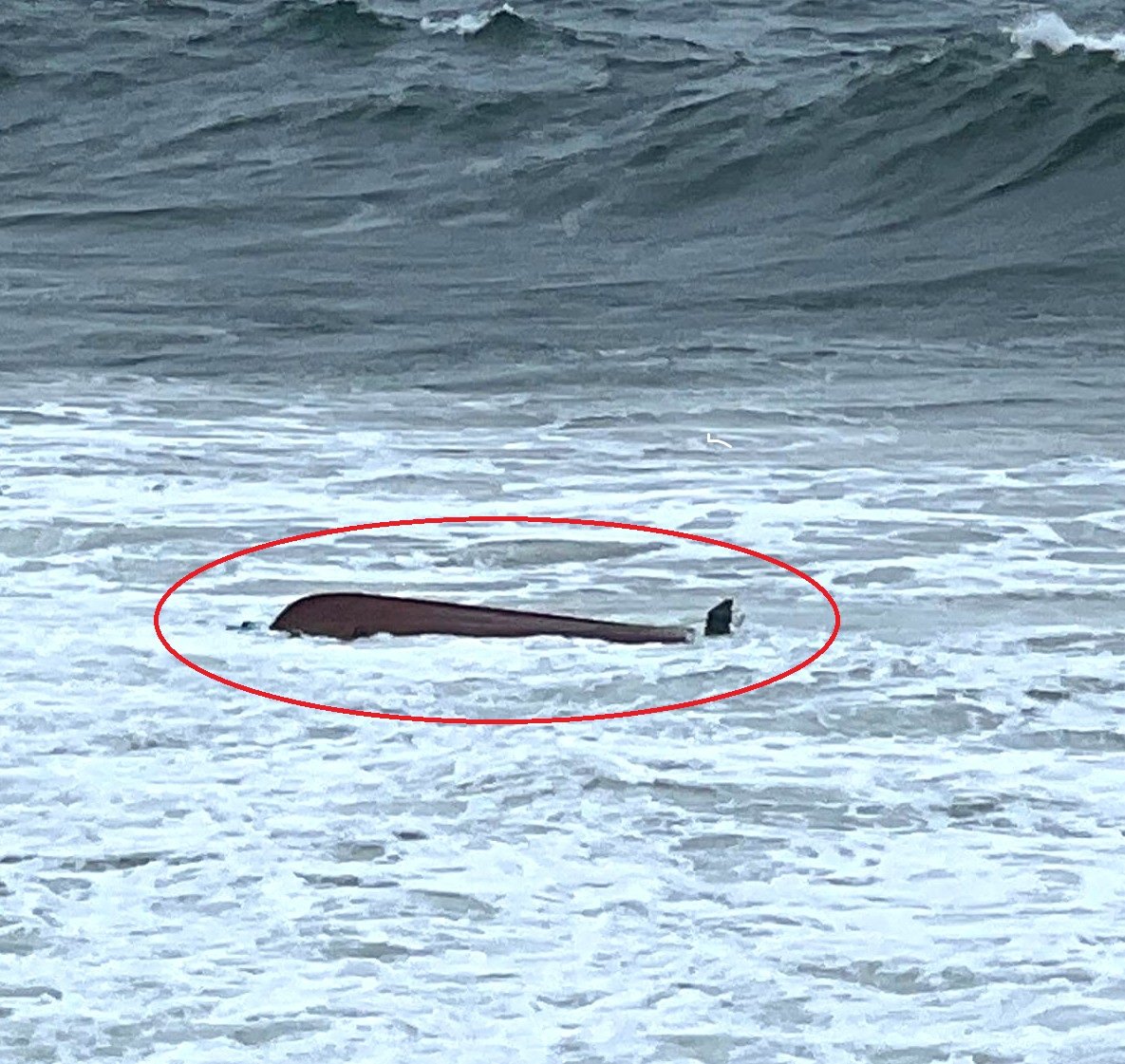 EMBARCAÇÃO de pesca naufragou na Parede. Dois pescadores feridos