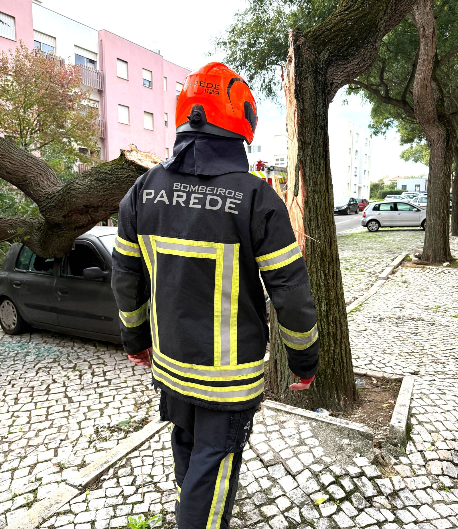 CLÁUDIA provoca queda parcial de árvore de grande porte sobre veículo no Zambujal