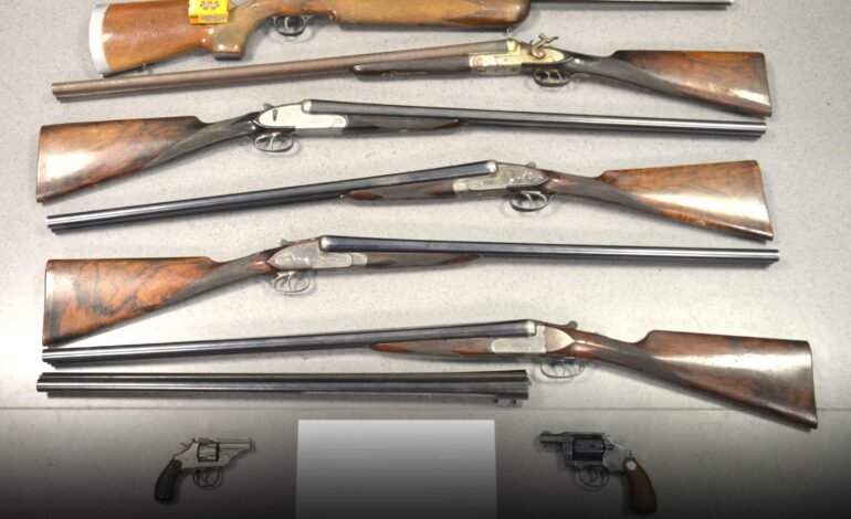 PSP de Cascais apreende mais 8 armas de fogo